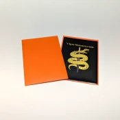 snakeskins-gallery-orange-5